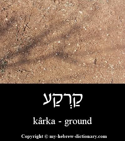 Ground in Hebrew
