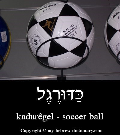 Soccer Ball in Hebrew