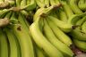 Bananas