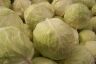 Cabbage