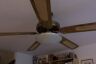 Ceiling Fan