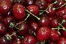 Cherries