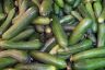 Cucumbers