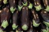 Eggplants