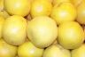Grapefruits