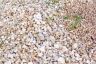 Gravel