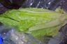 Lettuce