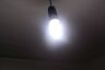 Lightbulb
