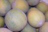 Melons