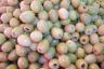 Olives