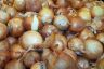 Onions