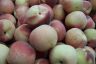 Peaches