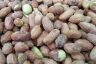 Peanuts