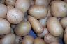 Potatoes