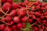 Radishes