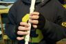 Recorder