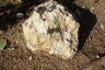Rock