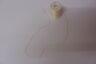 Thread