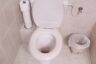 Toilet Bowl